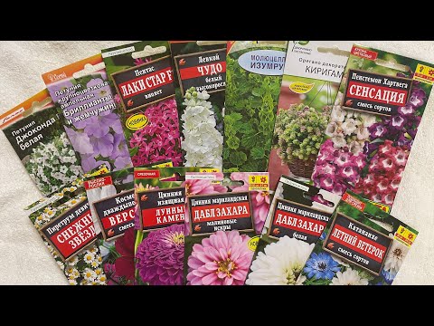 Видео: Посылка семян. НОВИНКИ ЦВЕТОВ! Однолетники + запасы