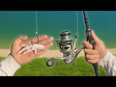 Видео: Являются ли куриные лапки хорошей наживкой для рыбалки? (Брутто)