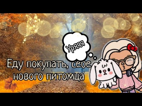 Видео: 💗~Еду покупать, себе нового питомца~🐇💗 #токабока #рекомендации