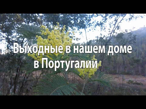 Видео: Выходные в нашем доме в Португалии