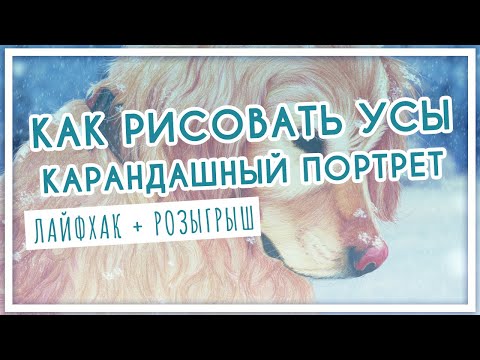 Видео: Как рисовать белый мех, усы и ресницы на карандашном портрете? Лайфхаки цветные карандаши + розыгрыш