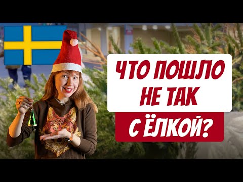 Видео: Что пошло не так с ёлкой | Куда выбросить елку в Швеции?