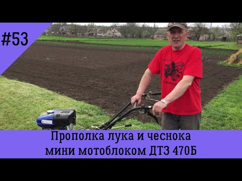 Видео: Прополка лука и чеснока мини мотоблоком ДТЗ 470Б