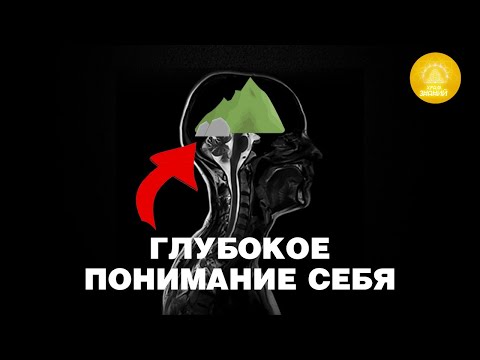 Видео: Как найти ответы на самые ВАЖНЫЕ вопросы