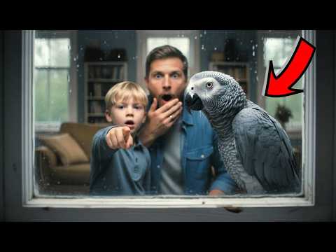 Видео: «Папа, почему попугай плачет» Когда отец прислушался к его словам, он вызвал полицию!