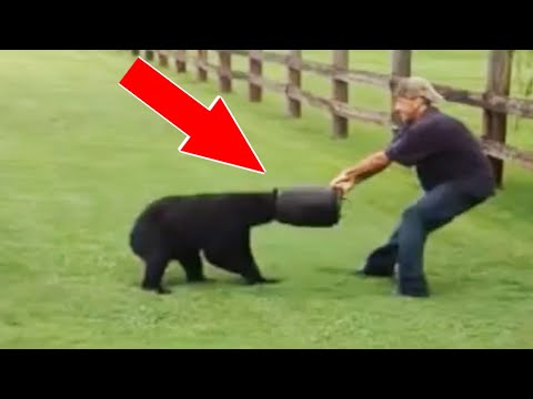 Видео: 10 Невероятных спасений животных снятых на камеру
