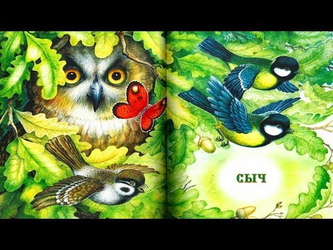 Видео: СЫЧ | Николай Сладков | аудио сказка | Аудиосказки | Сказки на ночь | Слушать сказки онлайн