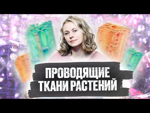 Видео: Проводящие ткани растений | Биология ЕГЭ