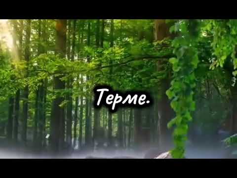 Видео: Мағыналы терме #  