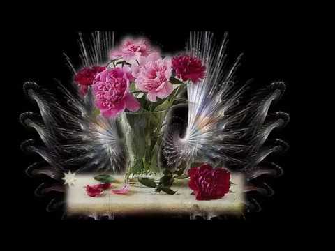 Видео: Поздравление с праздником -  днем  8 Марта