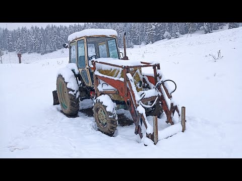 Видео: Пришла зима! А вместе с ней обалденная посылка