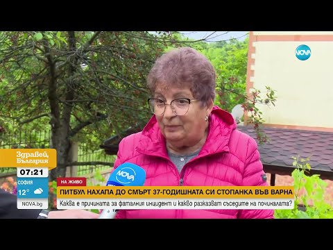 Видео: Питбулът, убил стопанката си във Варна, преди година нахапал и приятеля ѝ - Здравей, България