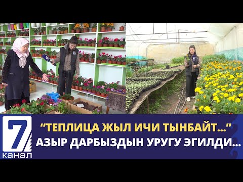 Видео: ЖАЛАЛ-АБАД: 30 ЖЫЛДЫК ГҮЛ БИЗНЕС
