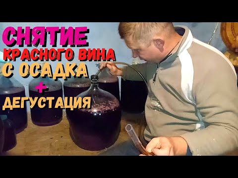 Видео: Первое снятие с осадка КРАСНОГО вина | Определение качества вина на вкус | Переливка вина