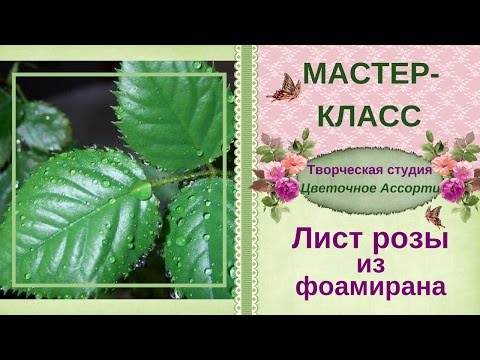 Видео: Листья ✿розы✿ из фоамирана. Пошаговый мастер-класс, как сделать листья ✿розы✿ из фоамирана