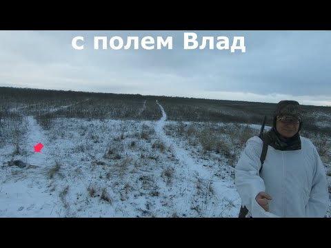 Видео: Охота на зайца  И на старуху бывает проруха  25 12 23