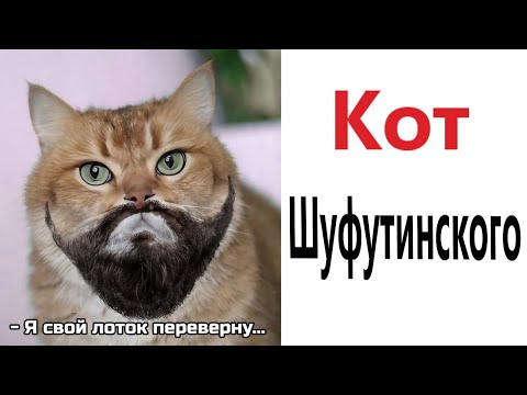 Видео: Приколы! КОТ ШУФУТИНСКОГО - МЕМЫ!!! Смешные видео от – Доми шоу!