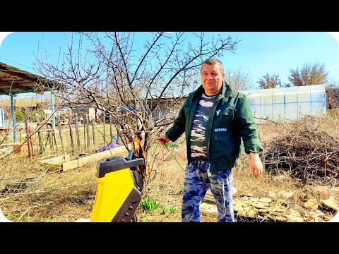 Видео: Тестируем Садовый измельчитель Denzel. Машина -Зверь!)) Дача 16 апреля 2025 г.