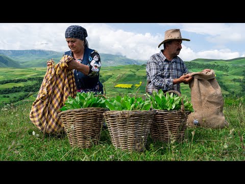 Видео: Пирог с диким щавелем из деревенской кухни
