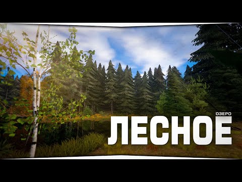 Видео: Лесное озеро • Штрафной пруд • Русская Рыбалка 4