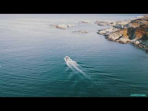 Видео: Самая лучшая подводная охота в Норвегии ,остров хитра 2019. Часть 1 Norvēģijas zem ūdens mediba 2019