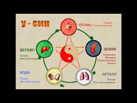 Видео: Теория пяти первоэлементов (У Син)