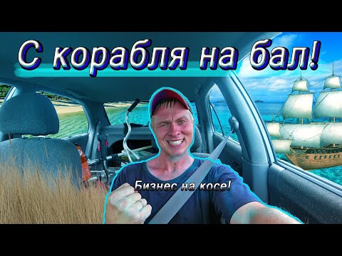 Видео: Бизнес на косе! С моря и сразу в камыши)! Август славится высокой и деревянной травой!