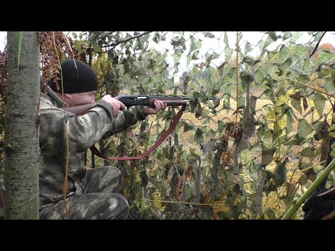 Видео: ОХОТА НА ТЕТЕРЕВА С ЧУЧУЛАМИ 2021. BLACK GROUSE HUNTING.