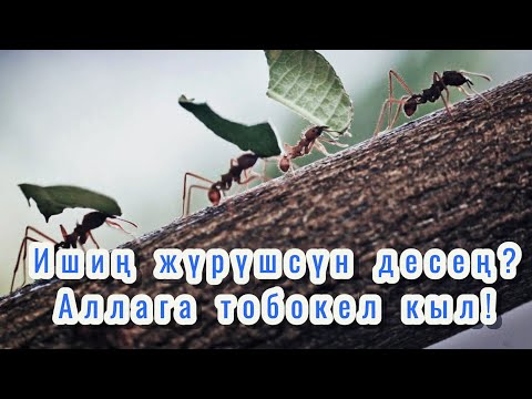 Видео: “Тобакелдик”20-Сабак.| Маматжусуп уулу Кыялбек.