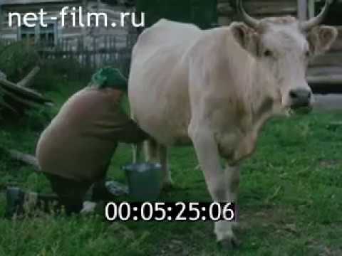 Видео: д/ф "Легенда о Беловодье", 2001г.