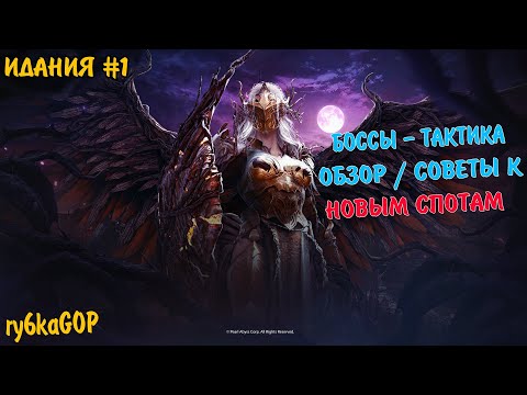 Видео: Black desert : ГАЙД НА БОССОВ И СПОТЫ ИДАНИИ