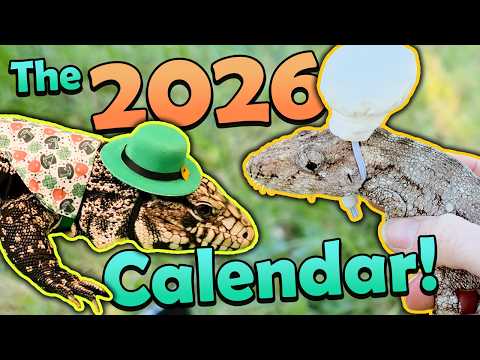 Видео: Наши рептилии становятся моделями календаря!