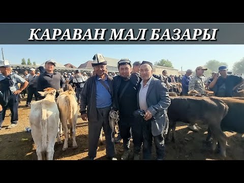 Видео: 30.08.2025-Ж КЫЗЫЛ-КЫЯ Ш.КАРАВАН МАЛ БАЗАРЫ РЕАЛДУУ БААЛАР. 