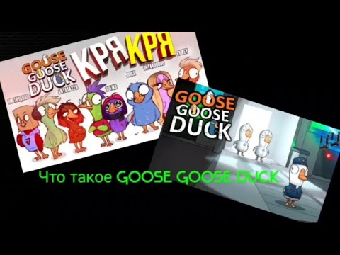 Видео: Что такое Goose Goose Duck