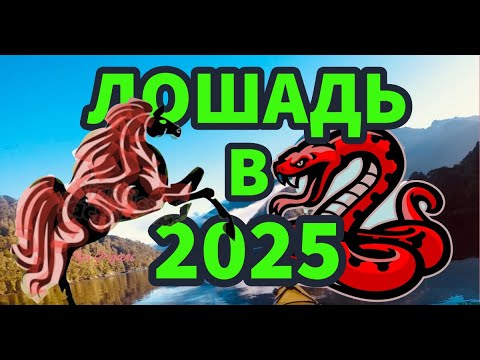 Видео: Прогноз для ЛОШАДИ в год ЗМЕИ 2025