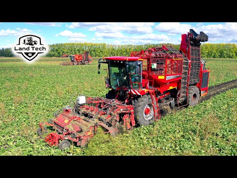 Видео: Свеклоуборочные комбайны HOLMER T2, T3 и T4-30 на одном поле! Комбайн, поставивший Мировой Рекорд!