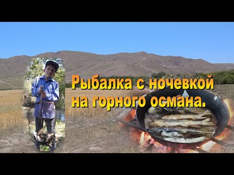 Видео: Рыбалка на горного османа с ночевкой. 31.07-01.08.21