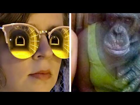 Видео: Не всё, что видно в зеркале, — правда