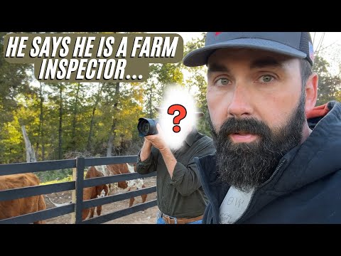 Видео: Пришёл мужчина с камерой! (Нашу ферму проверили?) 🚨