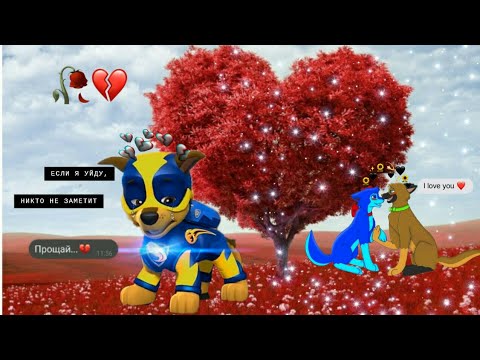 Видео: 💔гонщик (сильвия и джек) 💔