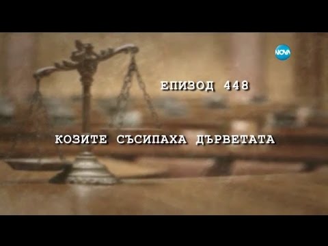 Видео: Съдебен спор - Епизод 448 - Козите съсипаха дърветата (18.03.2017)