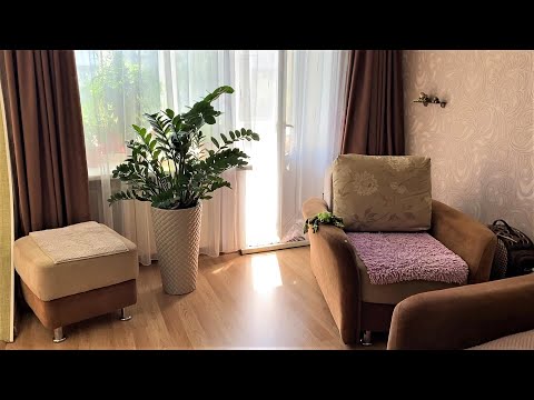 Видео: Все убрала, тортик испекла, цветочки накормила. Очень хорошая подкормка для цветов.