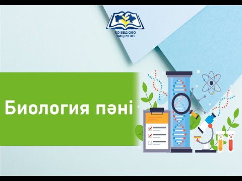 Видео: Биология 10 сынып. Аденозинүшфосфаттың құрылысы мен қызметі     Тыныс алу  тарауы  АТФ