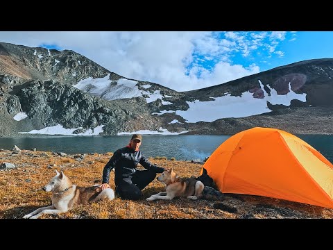 Видео: Ночевка в одиночестве в дикой природе Юкона с двумя хаски