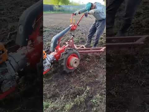 Видео: Выравнивание участка мотоблоками 16 мая 2025 г.