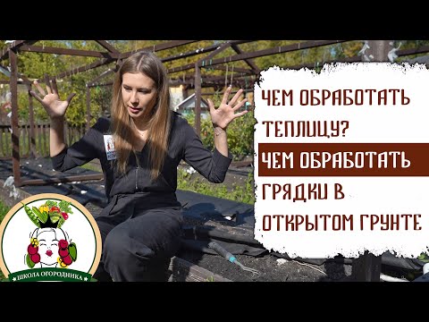 Видео: ЧЕМ ОБРАБОТАТЬ ТЕПЛИЦУ? ЧЕМ ОБРАБОТАТЬ ГРЯДКИ В ОТКРЫТОМ ГРУНТЕ?