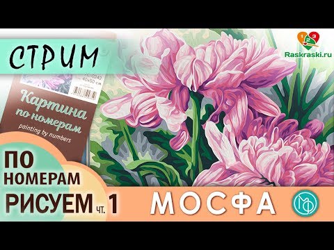 Видео: Раскрашиваем картину по номерам МОСФА "Астры" 1 ЧАСТЬ в прямом эфире! Рисовать просто! Раскраски