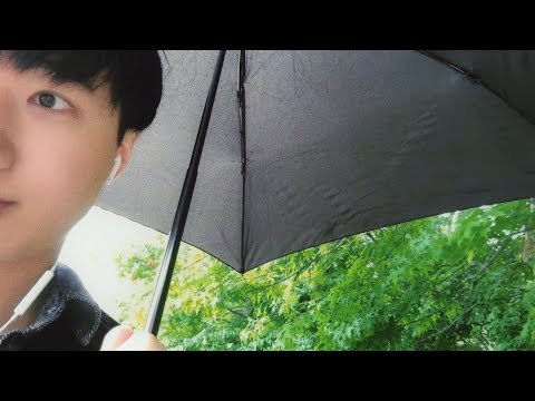 Видео: видеоблог о жизни в одиночестве в Корее🌧️