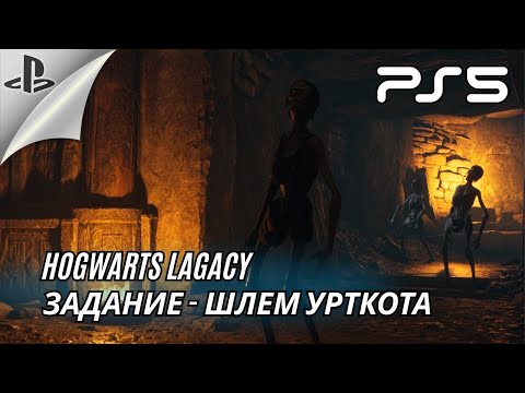Видео: Hogwarts Legacy / Поиск шлема Урткота / @SnackGames77