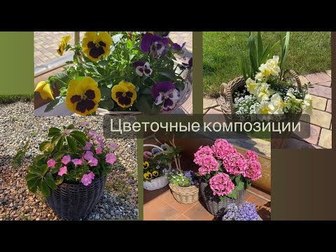 Видео: Цветочные композиции в КАШПО🌸